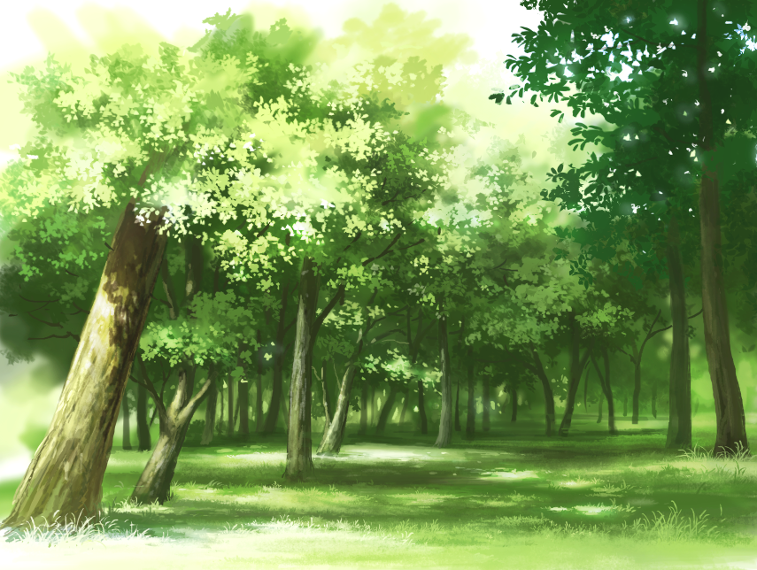 commentary_request day forest grass nature no_humans outdoors scenery stream_(stream1129) tree