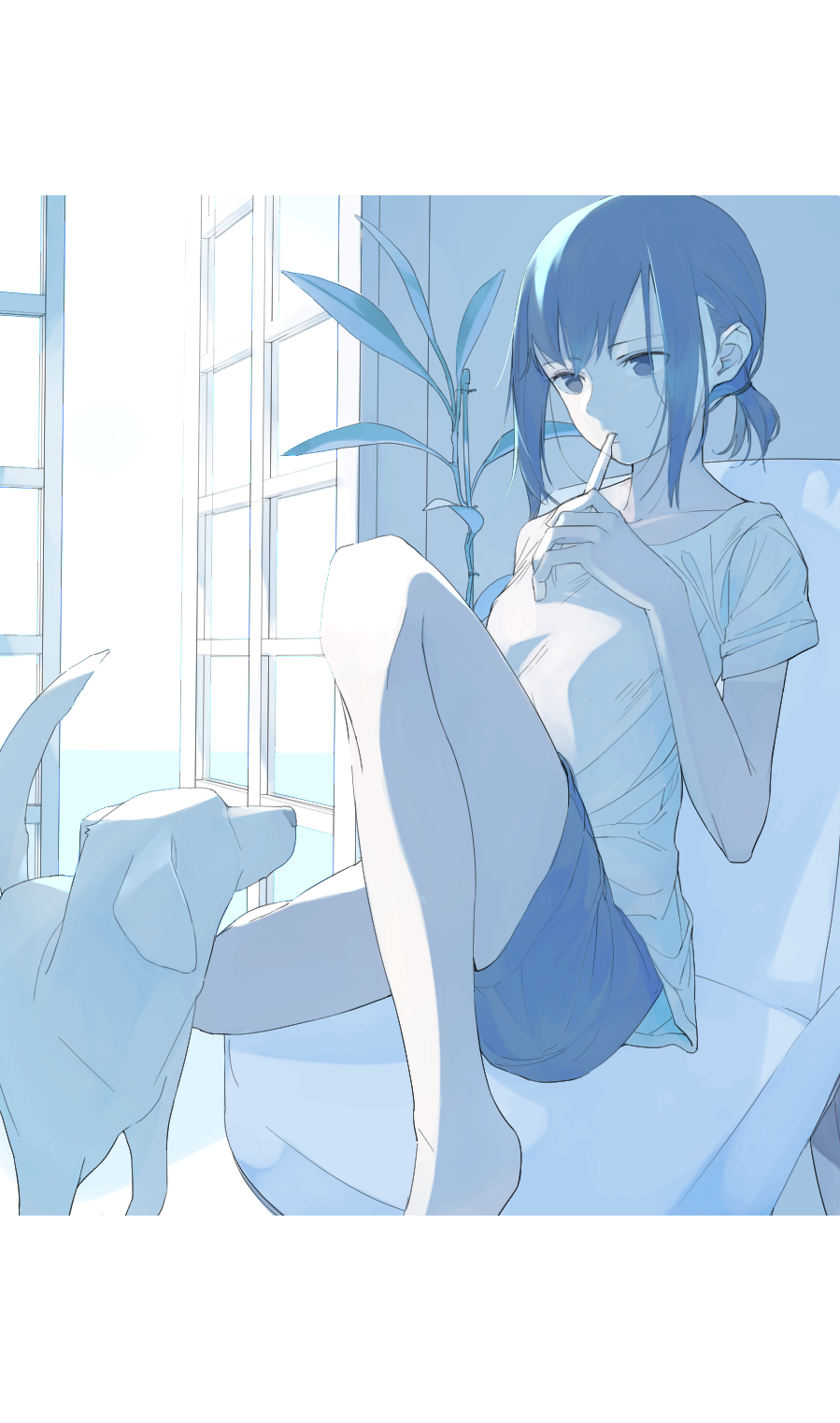 1girl aspara bangs blue chair closed_mouth dog door expressionless eyebrows_visible_through_hair highres holding indoors knee_up letterboxed looking_at_another original plant ponytail potted_plant shirt short_sleeves shorts sidelocks sitting solo white_shirt window