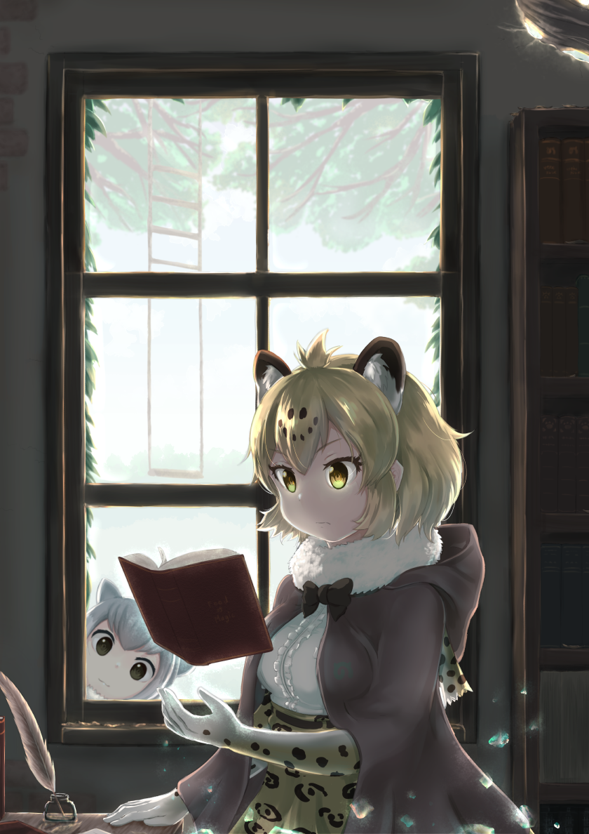 2girls animal_ears belt blonde_hair book bookshelf bow bowtie cape extra_ears floating_object frilled_shirt frills fur_collar gloves glowing glowing_eyes grey_hair hood indoors jaguar_(kemono_friends) jaguar_ears jaguar_print kemono_friends leaning_to_the_side multiple_girls okyao open_book otter_ears print_gloves quill reading sandstar shirt short_hair small-clawed_otter_(kemono_friends) window yellow_eyes