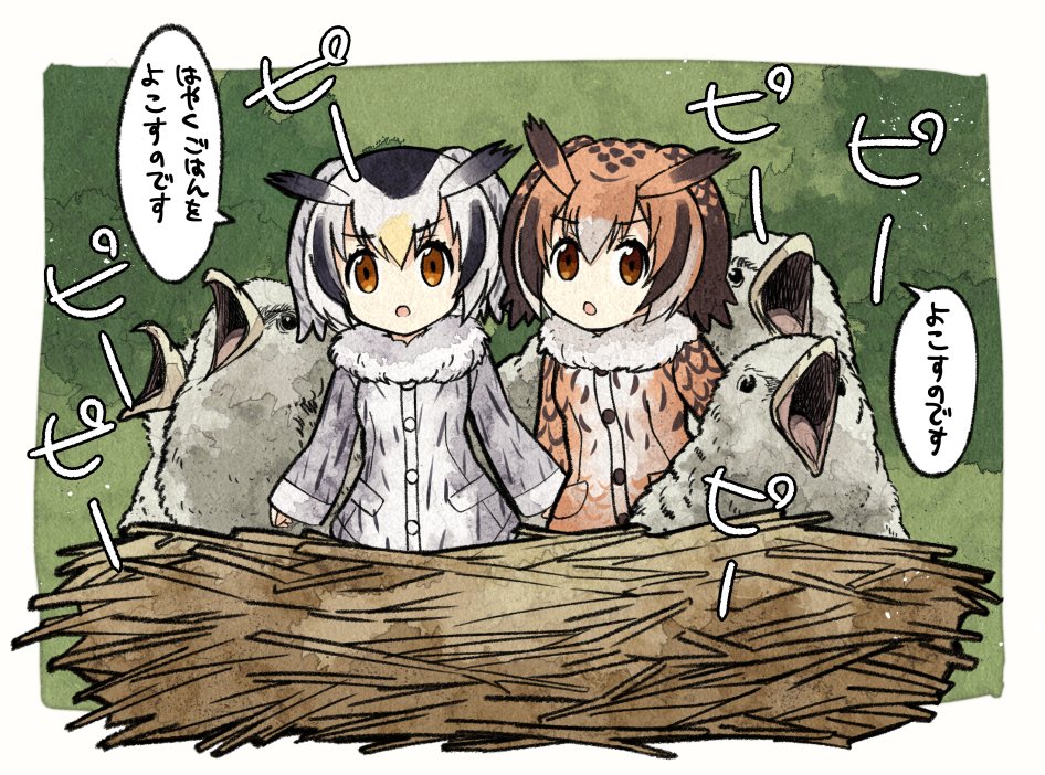 &gt;:o 2girls :o bird black_hair blonde_hair brown_coat brown_eyes brown_hair coat eurasian_eagle_owl_(kemono_friends) eyebrows_visible_through_hair fur_collar head_wings kemono_friends long_sleeves meis_(terameisu) multicolored_hair multiple_girls nest northern_white-faced_owl_(kemono_friends) short_hair white_coat white_hair