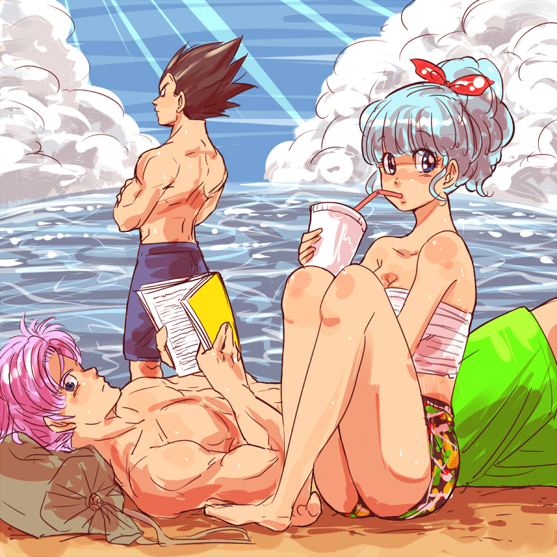 1girl 2boys back_turned bare_chest bare_legs bare_shoulders barefoot beach black_eyes black_hair blue_eyes blue_hair book bra_(dragon_ball) brothers clouds dragon_ball drinking drinking_cup eyebrows_visible_through_hair father_and_daughter father_and_son hair_ribbon looking_at_viewer looking_away lying miiko_(drops7) multiple_boys ponytail purple_hair reading ribbon serious siblings sitting sky swimsuit tank_top trunks_(dragon_ball) vegeta