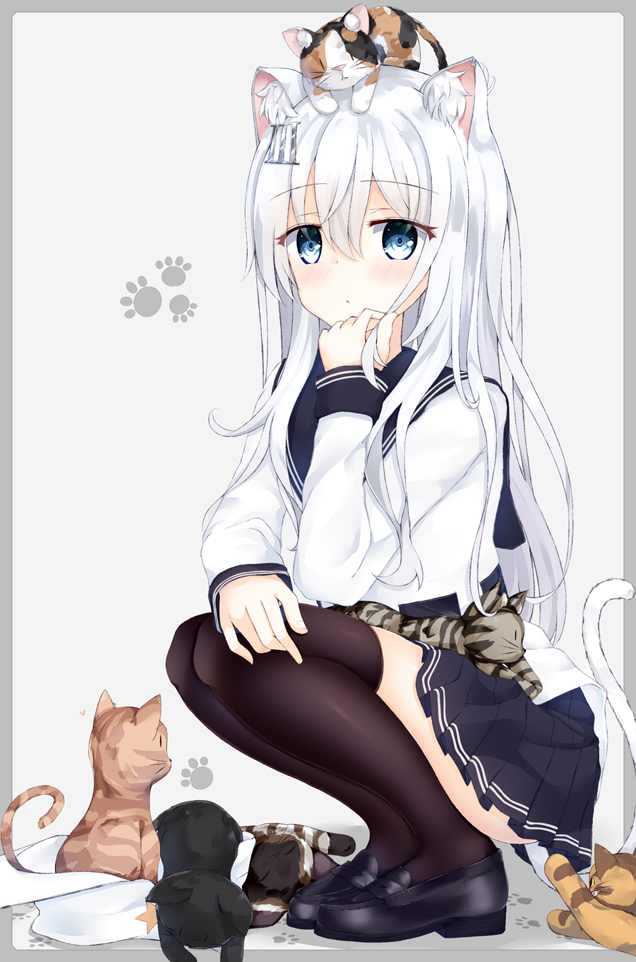 1girl :&lt; animal animal_ears animal_on_head animal_on_lap black_cat black_footwear black_legwear blue_eyes blue_skirt blush border cat cat_ears cat_tail closed_mouth commentary_request eyebrows_visible_through_hair grey_background grey_border hair_between_eyes hair_ornament hairpin hat hat_removed headwear_removed hibiki_(kantai_collection) highres kantai_collection loafers long_hair long_sleeves looking_at_viewer niruanu_(nitayam) on_head playing_with_own_hair pleated_skirt school_uniform serafuku shirt shoes silver_hair simple_background skirt solo squatting tail tareme thigh-highs verniy_(kantai_collection) very_long_hair white_hat white_shirt zettai_ryouiki