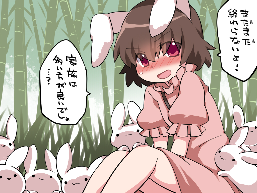 1girl :3 animal_ears bamboo bamboo_forest blush brown_hair carrot commentary_request dress forest hammer_(sunset_beach) inaba_tewi jewelry looking_at_viewer nature necklace open_mouth pink_dress pink_eyes rabbit rabbit_ears short_hair sitting smile solid_circle_eyes solo touhou