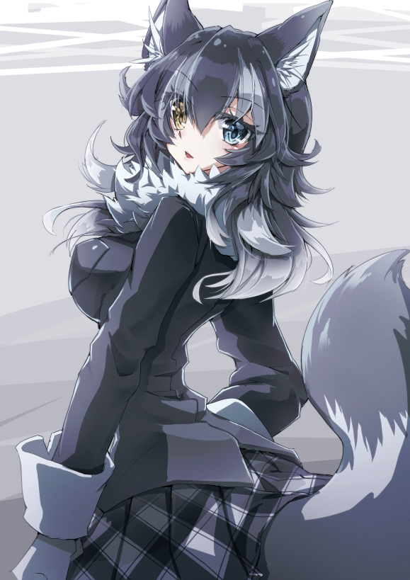 1girl animal_ears bangs black_hair black_shirt black_skirt blue_eyes blush breasts commentary_request cowboy_shot erect_nipples error eyebrows_visible_through_hair eyes_visible_through_hair from_behind fur_collar gloves gradient gradient_background gradient_hair grey_background grey_skirt grey_wolf_(kemono_friends) hair_between_eyes hand_on_hip harlekin heterochromia impossible_clothes impossible_shirt kemono_friends large_breasts long_hair long_sleeves looking_at_viewer looking_to_the_side multicolored_hair parted_lips pink_lips plaid plaid_skirt reflective_eyes shiny shiny_hair shirt shirt_pocket sidelocks silver_hair skirt solo tail two-tone_hair uneven_eyes white_gloves wolf_ears wolf_tail yellow_eyes