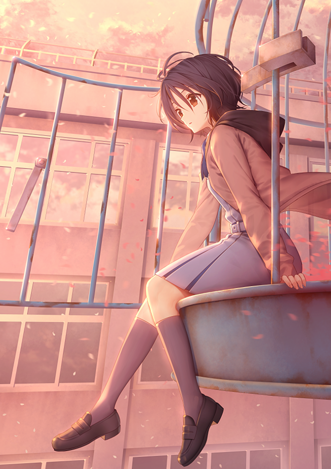 1girl 22/7 bangs black_hair blue_skirt brown_eyes cardigan day grey_legwear hair_between_eyes hood hoodie kneehighs loafers long_hair low_ponytail nagareboshi open_cardigan open_clothes outdoors petals playground school_uniform shoes sitting skirt solo takigawa_miu