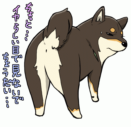 animal anus ass dog from_behind glaring looking_back lowres no_humans nu_tarou original shiba_inu simple_background solo sweatdrop text translated translation_request white_background