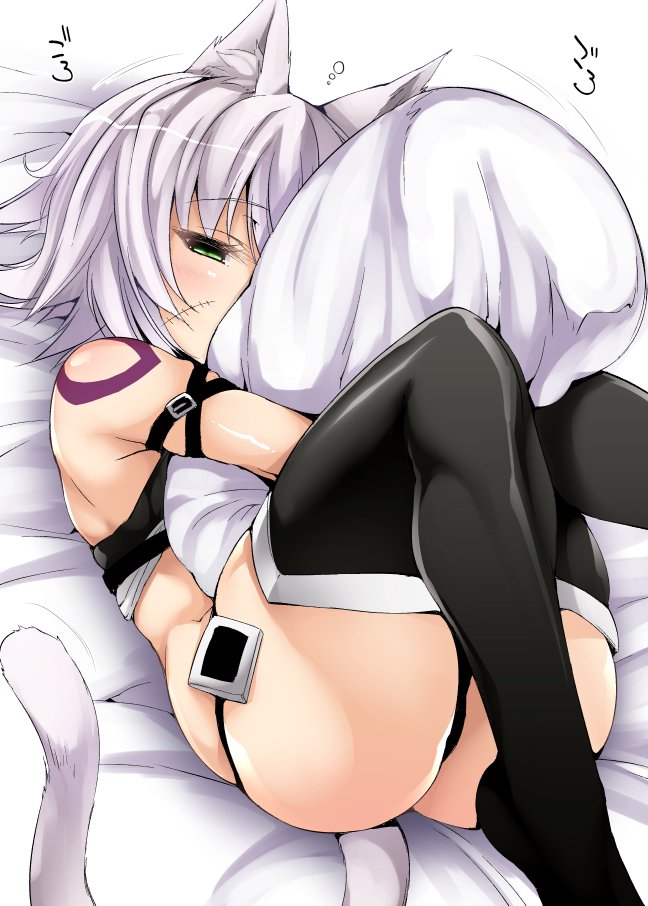 1girl animal_ears armband ass assassin_of_black bare_shoulders black_legwear black_panties blush cat_ears cat_tail commentary_request fate/apocrypha fate_(series) green_eyes hips knees_up looking_at_viewer on_bed oohira_sansetto\r\n oohira_sunset panties pillow pillow_hug scar scar_on_cheek short_hair shoulder_tattoo silver_hair solo tail tattoo thighs underwear waist