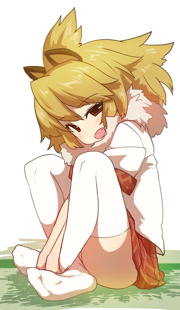 1girl animal_ears bangs between_legs blonde_hair blush brown_eyes checkered checkered_skirt commentary_request eyebrows_visible_through_hair fang feet full_body hand_between_legs hands_on_feet kemono_friends lion_(kemono_friends) lion_ears looking_at_viewer looking_to_the_side medium_hair no_shoes on_floor open_mouth pleated_skirt raised_eyebrows red_skirt shirt short_sleeves simple_background sitting skirt soles solo sumiyao_(amam) thigh-highs white_background white_legwear white_shirt