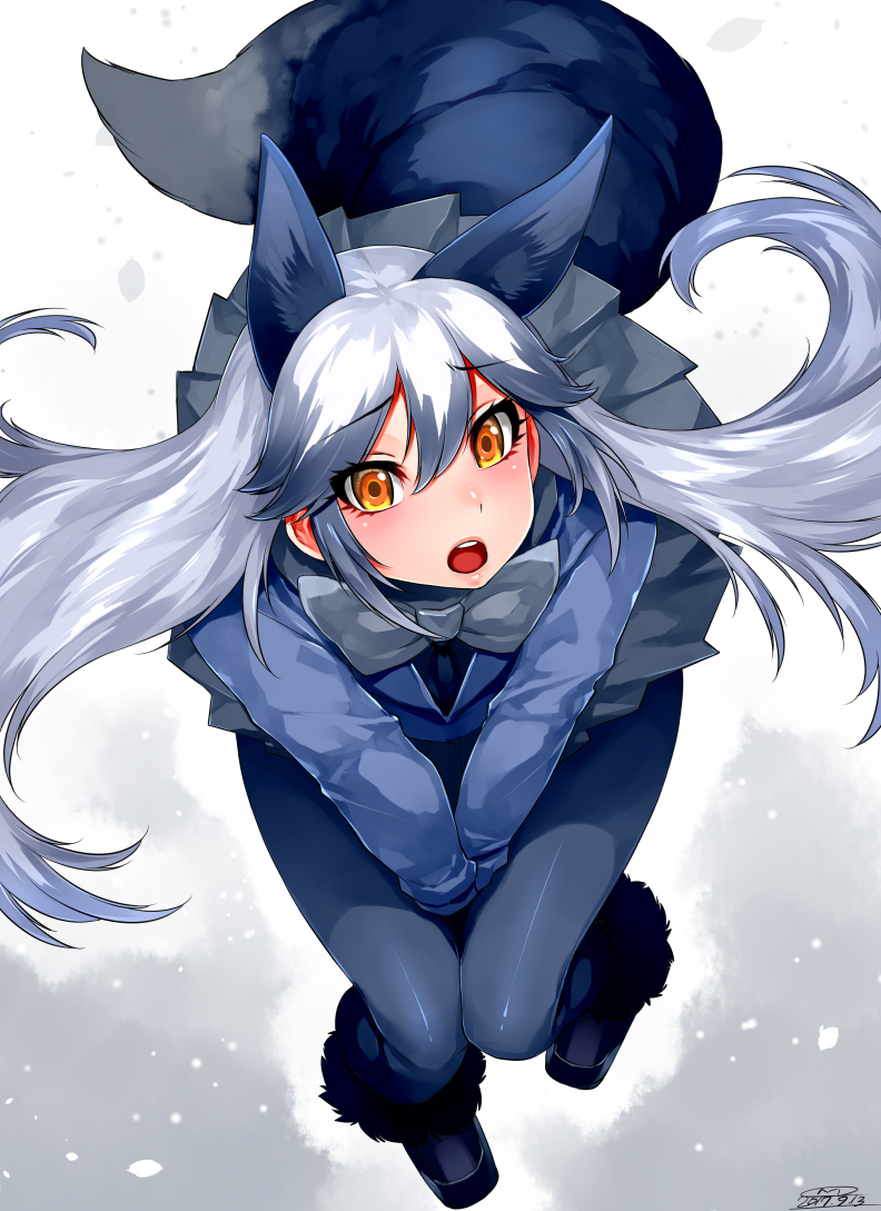 1girl 2017 :o animal_ears between_legs black_legwear blue_jacket bow bowtie dated extra_ears eyebrows_visible_through_hair fox_ears fox_tail from_above grey_bow grey_bowtie grey_skirt hair_between_eyes hand_between_legs happa_(cloverppd) jacket kemono_friends long_hair looking_at_viewer looking_up miniskirt orange_eyes pantyhose pleated_skirt signature silver_fox_(kemono_friends) silver_hair skirt snow solo tail