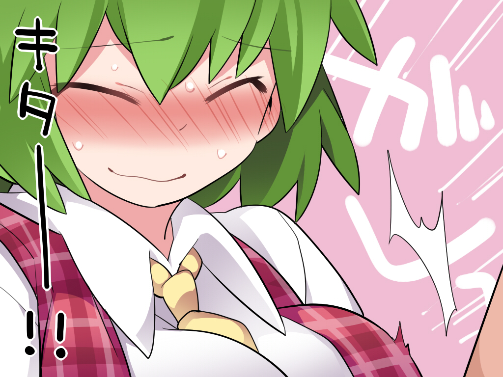 1girl ^_^ ascot blush closed_eyes dress_shirt embarrassed emphasis_lines green_hair hammer_(sunset_beach) kazami_yuuka open_mouth plaid plaid_vest shirt short_hair smile solo_focus touhou translation_request upper_body vest