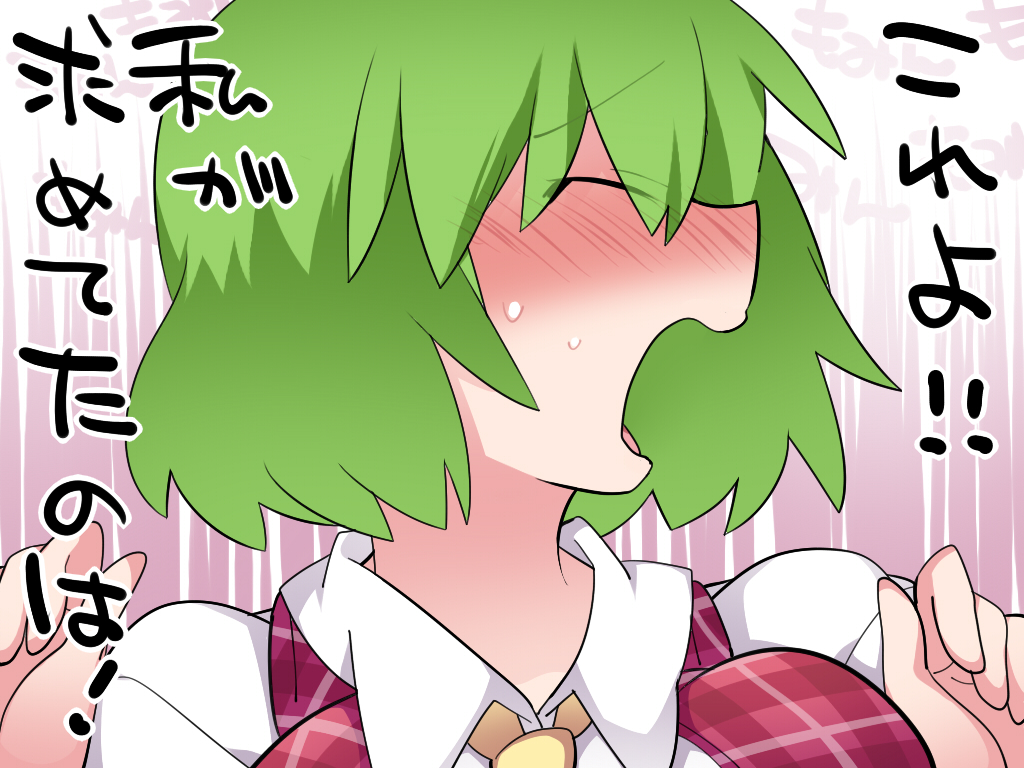 1girl ^_^ ascot blush closed_eyes dress_shirt embarrassed green_hair hammer_(sunset_beach) kazami_yuuka open_mouth plaid plaid_vest shirt short_hair solo touhou translation_request upper_body vest