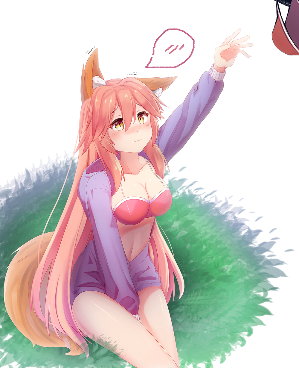 brown_eyes dress fate/extra fate/extra_ccc fate/grand_order fate_(series) long_hair pink_hair tamamo_(fate)_(all) tamamo_no_mae_(fate)