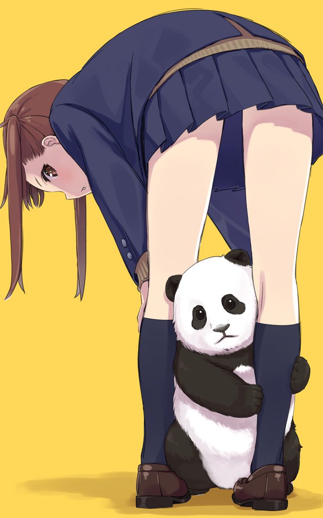 1girl bent_over black_legwear blazer blue_skirt blush brown_eyes brown_footwear brown_hair from_behind jacket kneehighs kneepits loafers long_hair looking_at_viewer looking_back miniskirt original panda parted_lips pleated_skirt shoes simple_background skirt solo standing sweater twintails yahako yellow_background