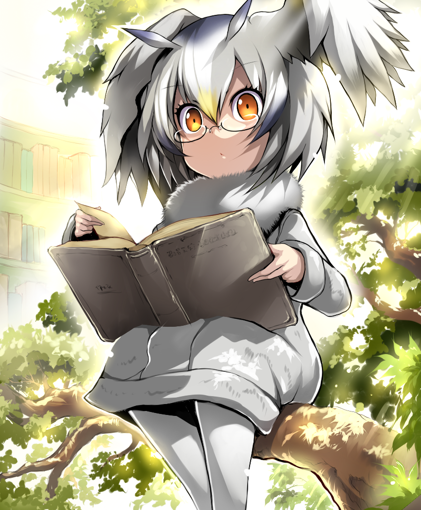 1girl :&lt; bangs bespectacled black-framed_eyewear black_hair blush book bookshelf closed_mouth eyebrows_visible_through_hair fur_collar fur_trim glasses gradient_hair green_hair grey_coat head_wings in_tree kemono_friends long_hair long_sleeves looking_at_viewer multicolored_hair northern_white-faced_owl_(kemono_friends) open_book orange_eyes pantyhose reading sitting solo sunlight tareme tree tree_branch tsukasawa_takamatsu under-rim_eyewear white_legwear