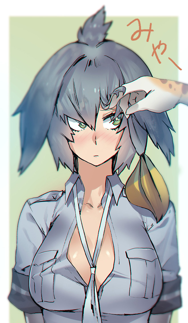 1girl bangs between_breasts blush breast_pocket breasts closed_mouth collared_shirt green_eyes grey_hair grey_shirt hair_between_eyes hair_lift harabacho_(gkfkqkch1) kemono_friends large_breasts long_hair looking_to_the_side low_ponytail multicolored_hair necktie necktie_between_breasts nose_blush orange_hair partially_unbuttoned pocket shirt shoebill_(kemono_friends) short_sleeves side_ponytail solo_focus upper_body white_neckwear