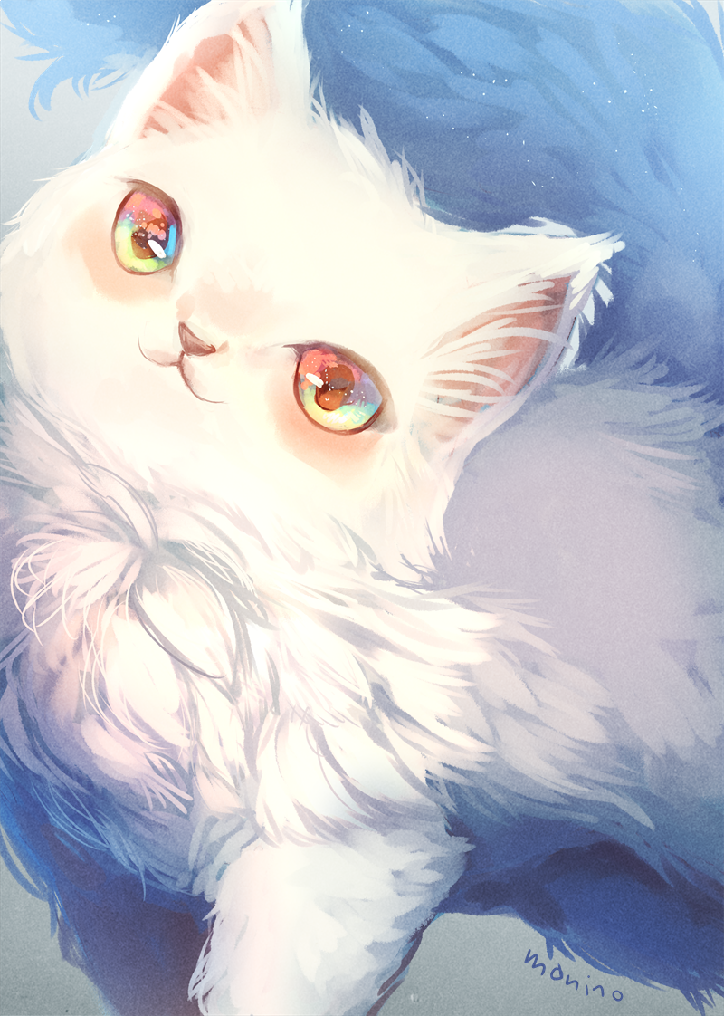 :3 cat closed_mouth eyes fur looking_at_viewer manino_(mofuritaionaka) multicolored multicolored_eyes no_humans original signature solo white_fur