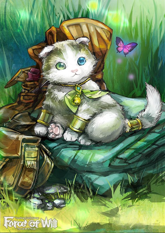 animal_ears blue_eyes boots butterfly cat cat_ears cat_tail copyright_name force_of_will grass green_eyes heterochromia jewelry komamitsu necklace no_humans official_art solo tail