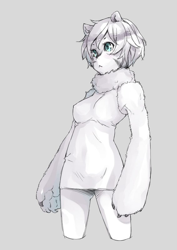 1girl :&lt; animal_ears aqua_eyes bear_ears breasts closed_mouth cowboy_shot cropped_legs fur_collar gluteal_fold grey_background medium_breasts monster_girl naked_shirt nukomasu original paws shirt short_hair silver_hair simple_background solo standing white_shirt