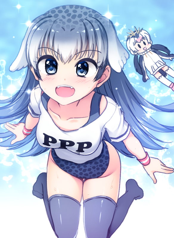 1girl :d animal_ears bangs blue_eyes blue_hair blue_legwear blue_swimsuit blush character_doll clothes_writing commentary_request extra_ears eyebrows_visible_through_hair fangs groin kemono_friends leaning_forward long_hair looking_at_viewer no_shoes one-piece_swimsuit open_mouth original penguins_performance_project_(kemono_friends) royal_penguin_(kemono_friends) shirt short_sleeves smile solo swimsuit swimsuit_under_clothes thigh-highs thigh_gap totokichi white_shirt wristband