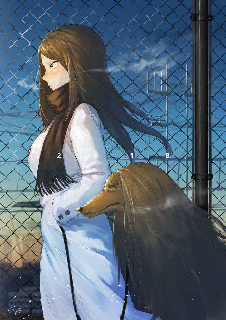 1girl 2018 afghan_hound animal bangs black_fur black_hair black_scarf blue_sky blurry blurry_background blush breasts breath brown_hair chain-link_fence closed_mouth coat day depth_of_field dog feet_out_of_frame fence fringe from_side hands_in_pockets highres leash long_coat long_hair long_sleeves looking_away medium_breasts nose_blush original outdoors parted_bangs power_lines profile pyz_(cath_x_tech) scarf serious signature sky solo tsurime walking white_coat winter winter_clothes winter_coat