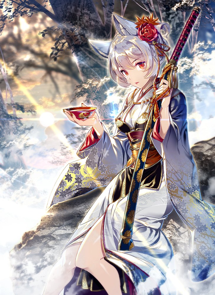1girl alternate_costume animal_ears breasts closed_mouth cup flower hair_between_eyes hand_up holding inubashiri_momiji japanese_clothes kimono leaf_print lips looking_at_viewer nail_polish obi red_eyes red_flower rock sash sheath sitting small_breasts solo sun sword touhou weapon white_hair wide_sleeves wolf_ears zounose