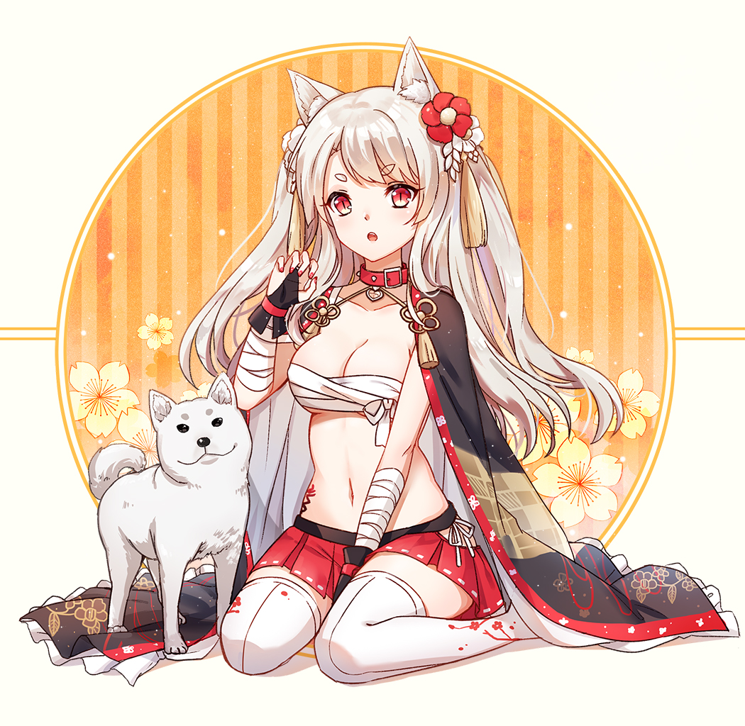 1girl :3 animal azur_lane bandage bandaged_arm bangs between_legs black_cape breasts bridal_gauntlets budget_sarashi cape cleavage collar collarbone dog floral_background floral_print flower hair_flower hair_ornament hand_between_legs iven_(hongwenwen) knees_together_feet_apart long_hair looking_at_viewer medium_breasts miniskirt nail_polish navel print_cape red_eyes red_flower red_nails red_skirt sarashi shiny shiny_hair silver_hair sitting skirt slit_pupils solo spiked_collar spikes stomach straight_hair striped tassel tattoo thigh-highs two_side_up vertical_stripes wariza white_legwear yuudachi_(azur_lane) zettai_ryouiki