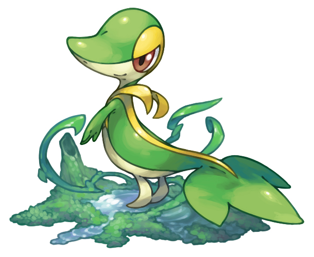 commentary_request from_side full_body grass looking_at_viewer looking_to_the_side no_humans pearl7 pokemon pokemon_(creature) simple_background smile snivy solo standing water white_background