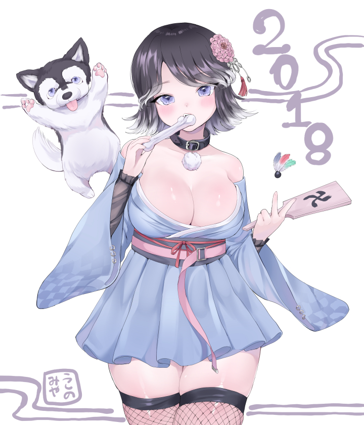 2018 animal bangs bare_shoulders black_hair blue_kimono blush breasts buckle cartoon_bone cleavage collar cowboy_shot dog dog_collar eyebrows_visible_through_hair fan fishnet_legwear fishnets flower gradient_hair hagoita hair_flower hair_ornament holding japanese_clothes kimono large_breasts layered_sleeves long_sleeves looking_at_viewer multicolored_hair obi off_shoulder original paddle parted_bangs paws pom_poms sash short_hair simple_background skindentation standing thigh-highs tongue tongue_out tossing tsurime ushinomiya violet_eyes white_background white_hair wide_sleeves zettai_ryouiki