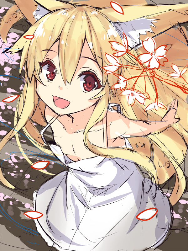 1girl :d animal_ears bangs bare_arms bare_shoulders blonde_hair breasts downblouse dress eyebrows_visible_through_hair fox_ears fox_girl fox_tail hair_between_eyes long_hair looking_at_viewer no_bra open_mouth original outstretched_arms petals red_eyes sketch sleeveless sleeveless_dress small_breasts smile solo sundress tail very_long_hair white_dress yuuji_(yukimimi)