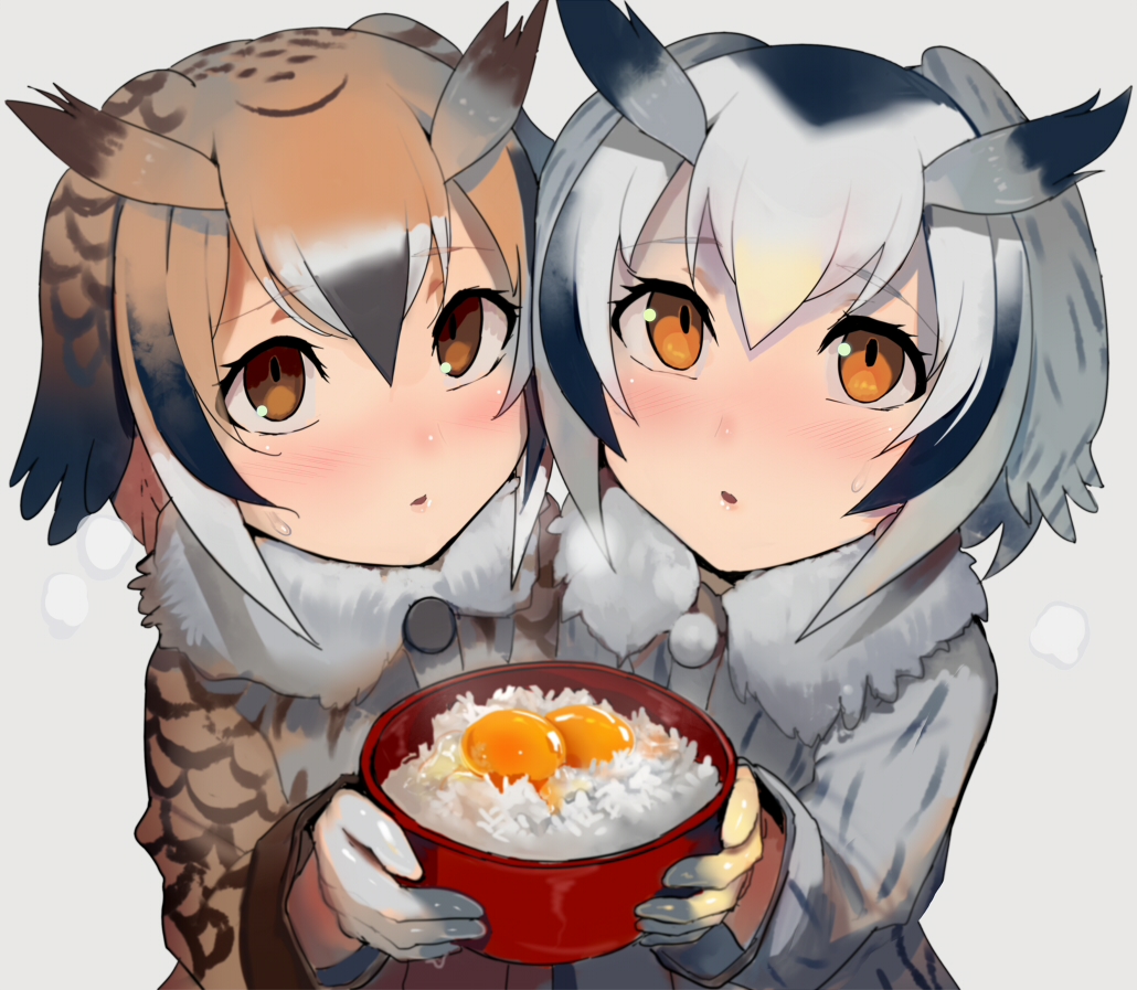2girls blush brown_eyes brown_hair commentary_request eurasian_eagle_owl_(kemono_friends) feather_trim feathers food grey_hair hair_feathers head_wings holding holding_food jacket kemono_friends long_sleeves looking_at_viewer multiple_girls northern_white-faced_owl_(kemono_friends) tamagokake_gohan walzrj