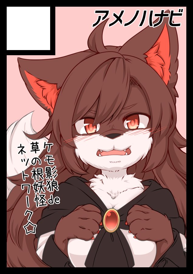 1girl ahoge animal_ears brooch brown_hair cape claws commentary_request fangs furry hands_on_own_chest imaizumi_kagerou imaizumi_kagerou_(wolf) jewelry long_hair long_sleeves looking_at_viewer open_mouth red_eyes simple_background solo tail tamahana text touhou translation_request upper_body wide_sleeves wolf_ears wolf_tail