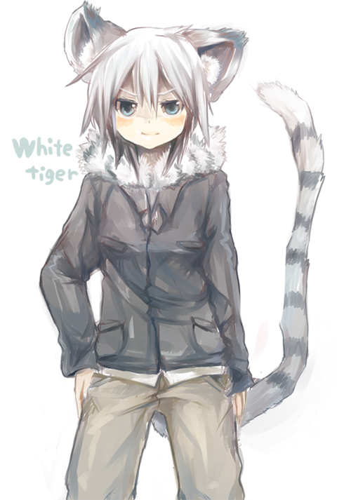 &gt;:) 1girl animal_ears bangs black_jacket blue_eyes blush brown_pants closed_mouth eyebrows_visible_through_hair foomi fur_collar hair_between_eyes jacket long_sleeves looking_at_viewer original pants silver_hair simple_background sleeves_past_wrists smile solo striped_tail tail tiger_ears tiger_girl tiger_tail v-shaped_eyebrows white_background