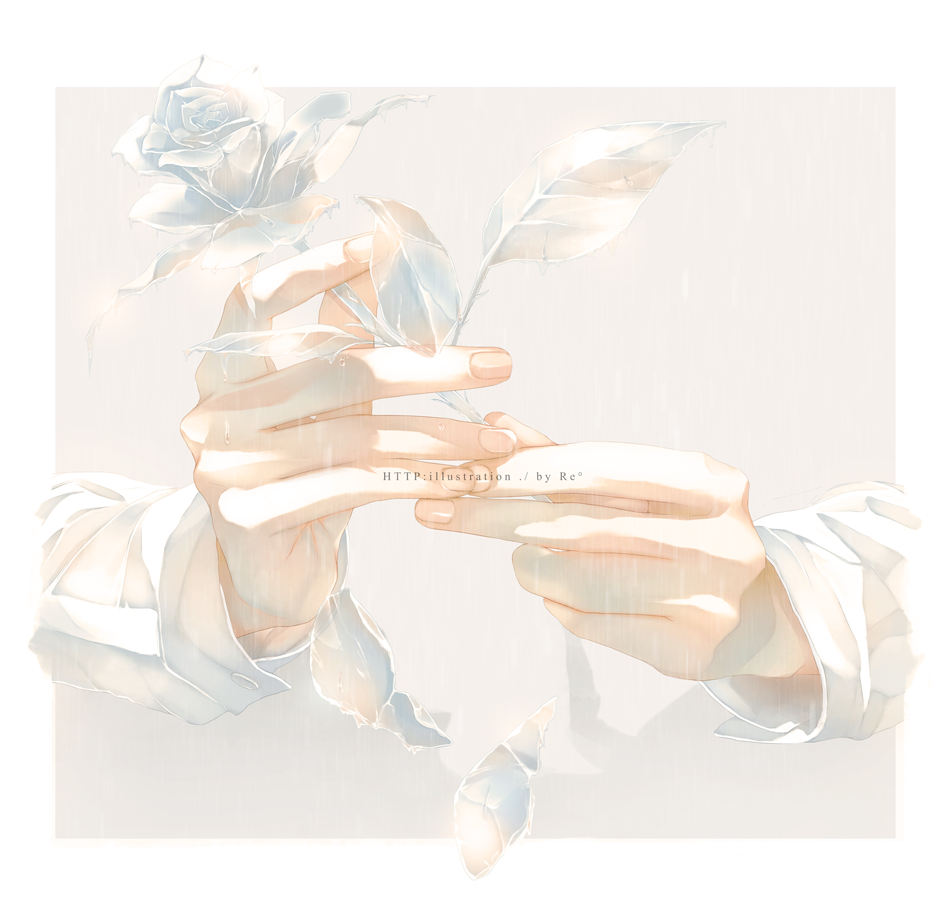 artist_name fingernails flower frame hands holding long_sleeves original petals rain rido_(ridograph) rose shirt wet white_flower white_rose white_shirt