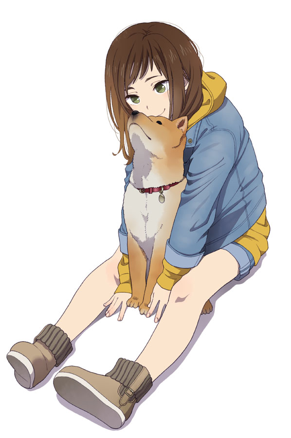 1girl between_legs brown_hair collar dog dog_collar green_eyes hood hoodie jacket mattaku_mousuke original shiba_inu shorts sitting solo white_background