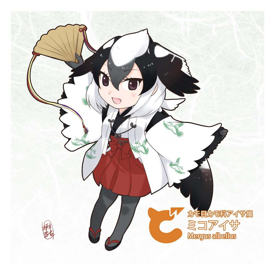 1girl black_hair brown_eyes fan feathered_wings full_body gloves grey_hair japanese_clothes kemono_friends multicolored_hair open_mouth original pantyhose sakuragi_rian sandals scientific_name simple_background smew_(kemono_friends) solo two-tone_hair white_background white_hair wings