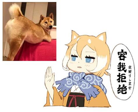1girl animal animal_ears blonde_hair blue_eyes chinese dog dog_ears hair_between_eyes jong_tu lowres multicolored_hair original partially_translated photo_inset scarf shiba_inu short_hair simple_background solo translation_request two-tone_hair upper_body white_background white_hair