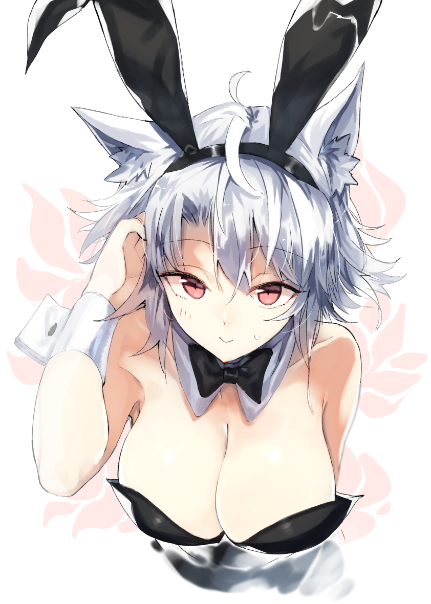 1girl alternate_costume animal_ears arm_up bare_arms bare_shoulders black_bow bow breasts bunny_girl bunnysuit cleavage commentary_request detached_collar eyebrows_visible_through_hair fake_animal_ears inubashiri_momiji kasuka_(kusuki) large_breasts leaning_forward looking_at_viewer neck_bow rabbit_ears red_eyes short_hair smile solo touhou upper_body white_background white_hair wolf_ears wrist_cuffs