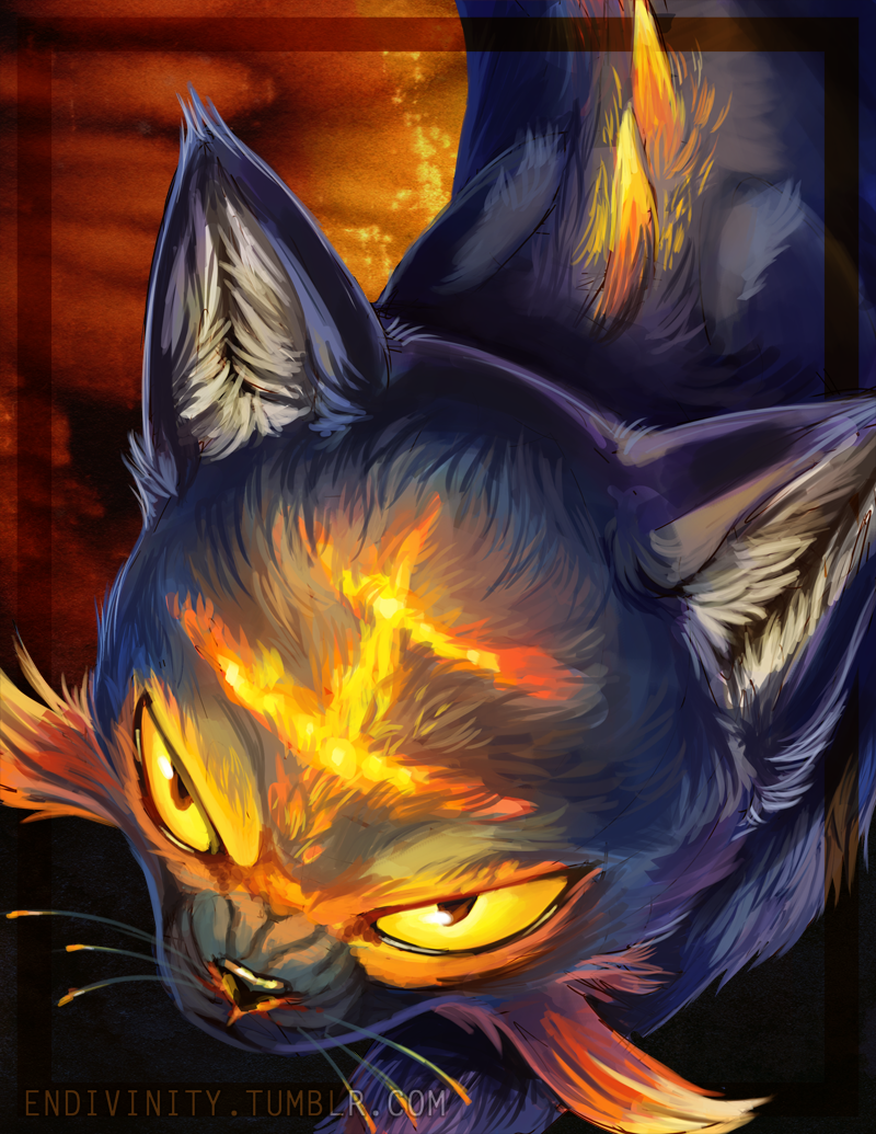 angry cat creature endivinity face from_above litten looking_up no_humans pokemon pokemon_(creature) pokemon_(game) pokemon_sm realistic solo watermark web_address whiskers yellow_eyes
