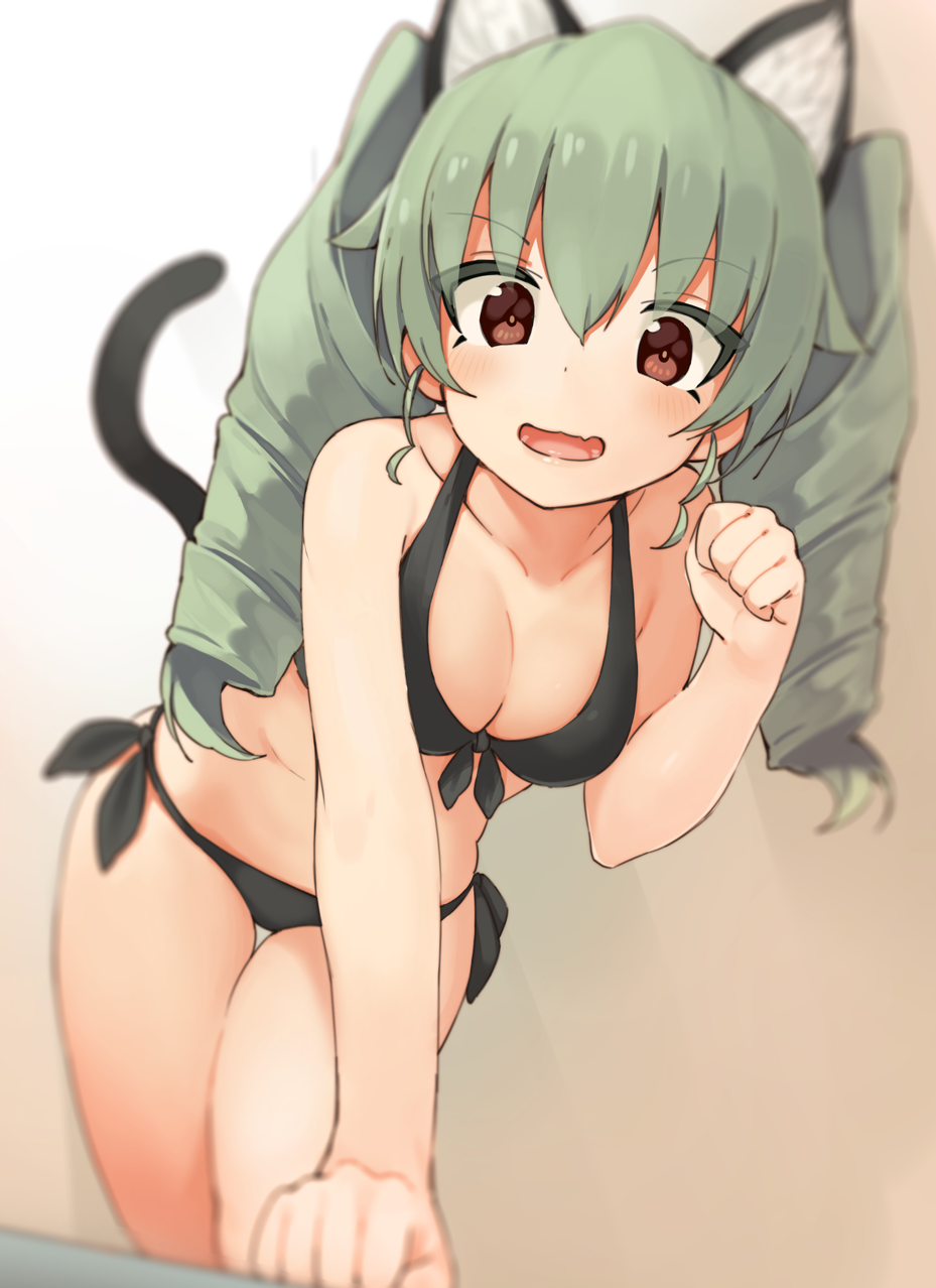 1girl all_fours anchovy animal_ears bikini black_bikini black_bra blurry blush bra breasts brown_eyes cat_ears cat_tail cleavage collarbone depth_of_field drill_hair eyebrows_visible_through_hair fang girls_und_panzer green_hair highres long_hair looking_at_viewer medium_breasts navel open_mouth paw_pose seramikku solo swimsuit tail twin_drills twintails underwear