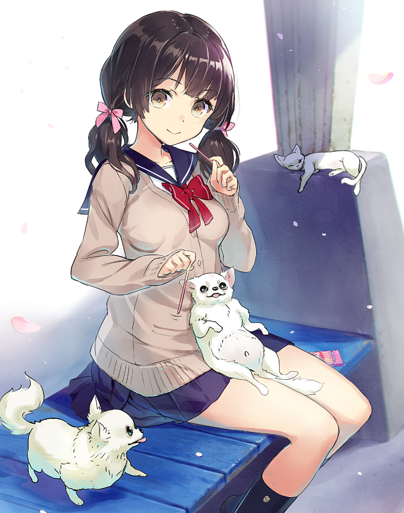 1girl bangs bench black_hair black_legwear bow breasts brown_eyes cardigan cat cherry_blossoms chihuahua dog food hair_ribbon kneehighs long_hair looking_at_viewer low_twintails medium_breasts miniskirt original petals pleated_skirt pocky red_bow sailor_collar sanbasou school_uniform sitting sitting_on_lap sitting_on_person skirt smile solo twintails