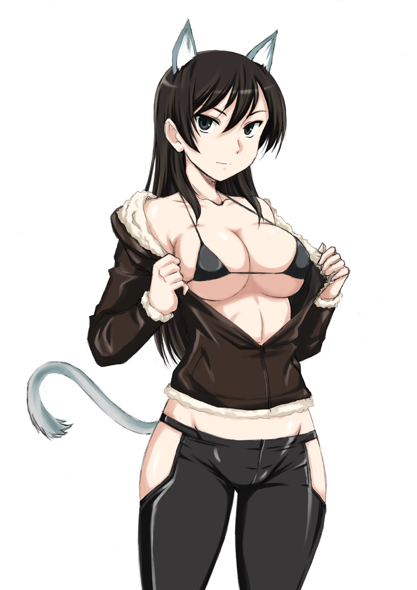 1girl adolfine_galland animal_ears bangs bare_shoulders bikini_top black_bikini_top black_eyes black_pants breasts brown_hair brown_jacket cat_ears cat_tail cleavage closed_mouth collarbone cowboy_shot fur-trimmed_jacket fur_trim groin highres hip_vent jacket large_breasts legs_apart long_hair long_sleeves looking_at_viewer off_shoulder open_clothes open_jacket pants smile solo standing straight_hair strike_witches string_bikini tail tight tight_pants undressing wan'yan_aguda world_witches_series