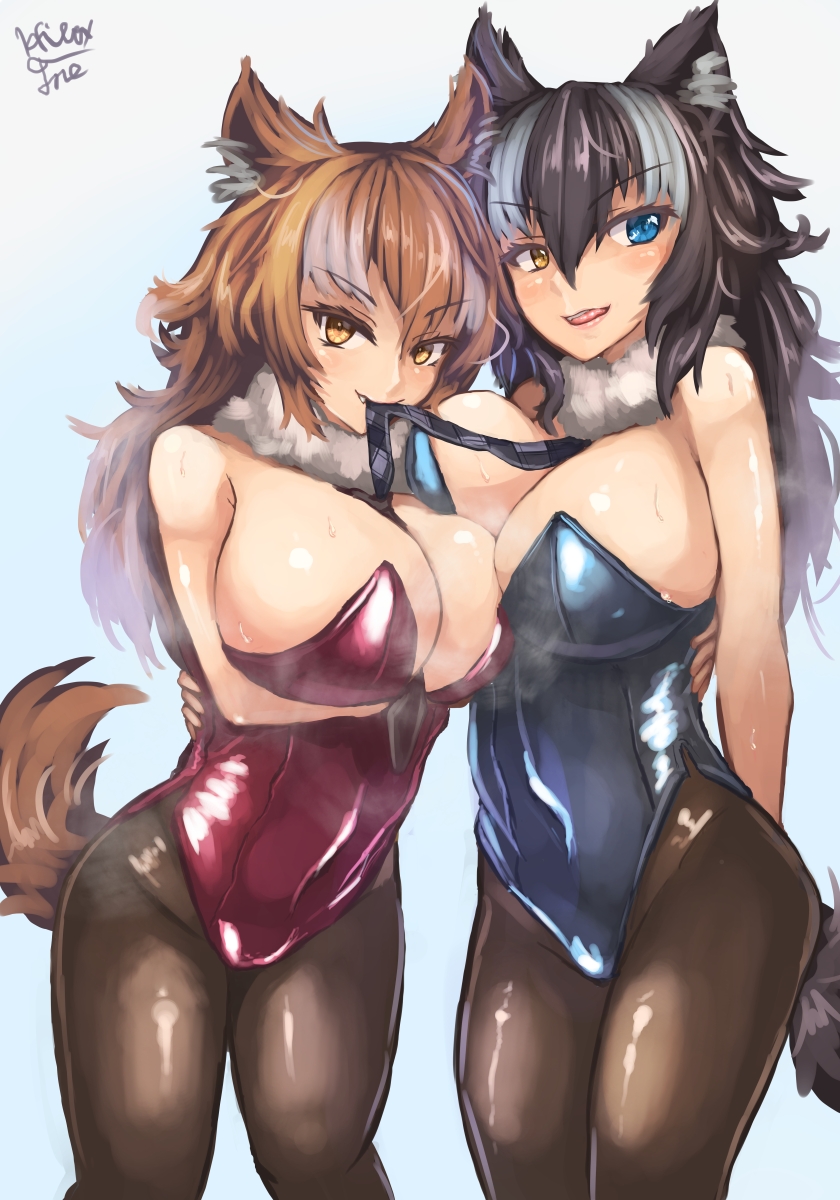 2girls animal_ears bare_shoulders between_breasts blue_eyes blush breast_hold breasts brown_hair bunny_girl bunnysuit cleavage eyebrows_visible_through_hair fang grey_wolf_(kemono_friends) heterochromia hibax-fre highres japanese_wolf_(kemono_friends) kemono_friends large_breasts long_hair looking_at_viewer multicolored_hair multiple_girls necktie necktie_between_breasts open_mouth simple_background smile tail thigh-highs two-tone_hair wolf_ears wolf_tail yellow_eyes
