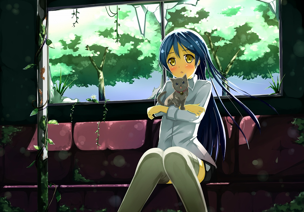 1girl amani_ai animal bangs black_cat blue_hair blush cat commentary_request hair_between_eyes holding long_hair long_sleeves looking_at_viewer love_live! love_live!_school_idol_project open_mouth sitting solo sonoda_umi thigh-highs tree yellow_eyes