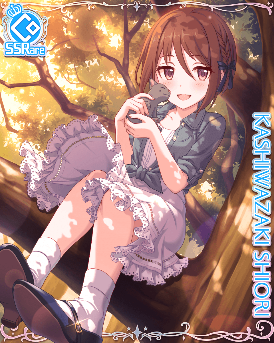 1girl bow braid brown_hair card_(medium) cat cygames hair_bow highres in_tree kashiwazaki_shiori lace lace-trimmed_skirt official_art princess_connect! sitting sitting_in_tree skirt sunset tied_jacket tree