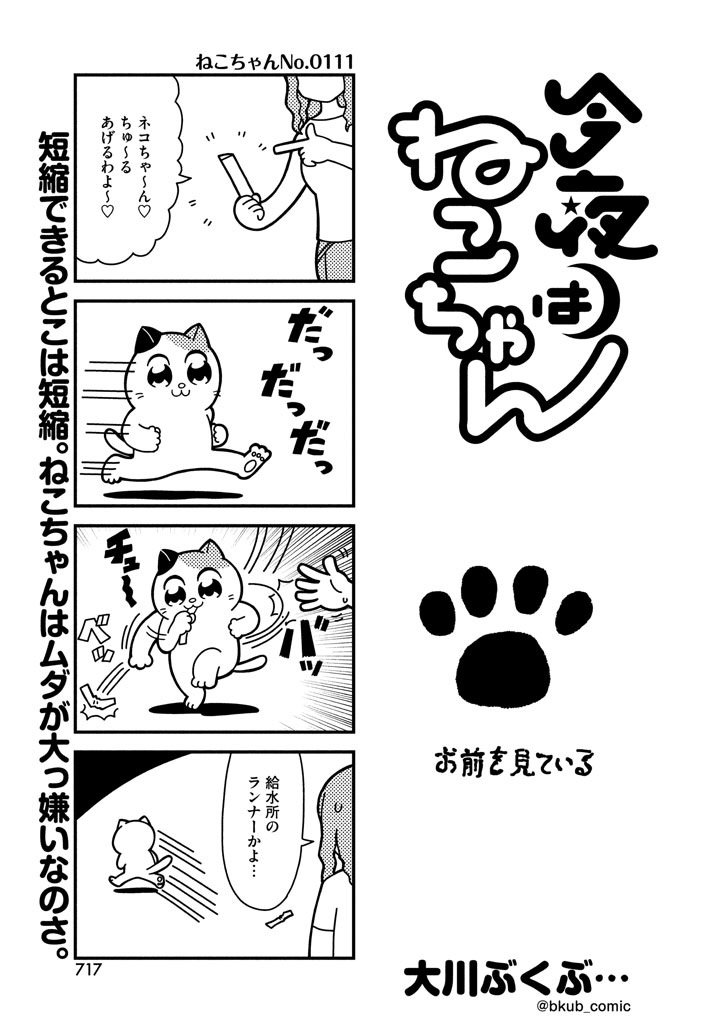 1girl 4koma :3 artist_name biting bkub cat cat_paws comic dashing emphasis_lines fleeing greyscale long_hair monochrome original pants paws shirt simple_background speech_bubble sweatdrop talking throwing translation_request two-tone_background