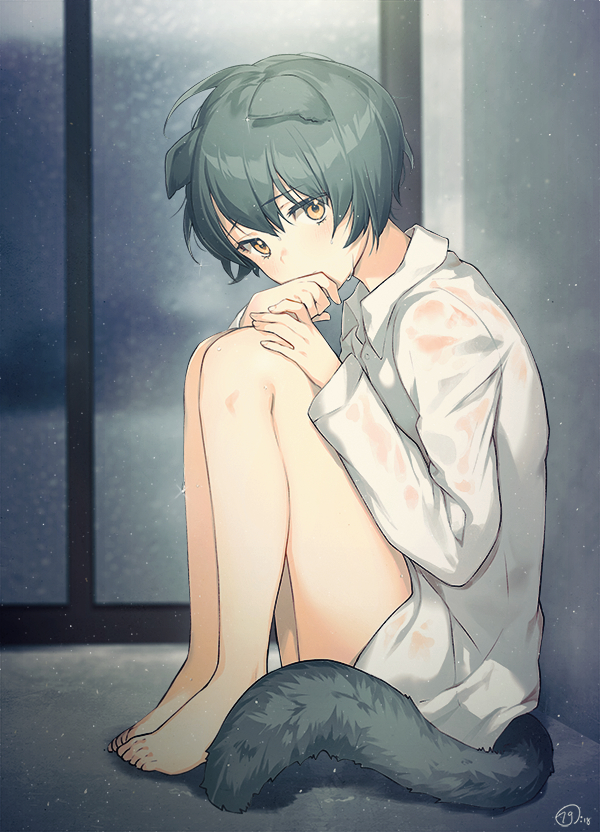 androgynous animal_ears black_hair dog_ears dog_tail eyebrows_visible_through_hair hand_on_own_knee legs_together naguri naked_shirt original shirt short_hair sitting solo tail wet wet_clothes wet_shirt