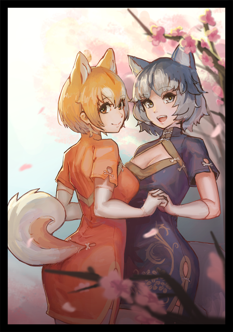 2girls alternate_costume animal_ears black_border blonde_hair blue_hair border cherry_blossoms china_dress chinese_clothes closed_mouth commentary_request dog_(kemono_friends) dog_ears dog_tail dress elbow_gloves eyebrows_visible_through_hair fangs gloves hand_holding kemono_friends looking_at_viewer lumian multicolored_hair multiple_girls open_mouth short_hair short_sleeves siberian_husky_(kemono_friends) smile tail white_hair