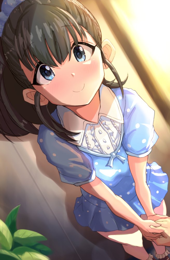 1girl bangs black_hair blue_eyes blush dress ears fukuyama_mai hand_holding idolmaster idolmaster_cinderella_girls indoors leaf light_blue_dress long_hair neck out_of_frame plant polka_dot polka_dot_dress ponytail smile sunset toho_(kihon_ha_yappa)