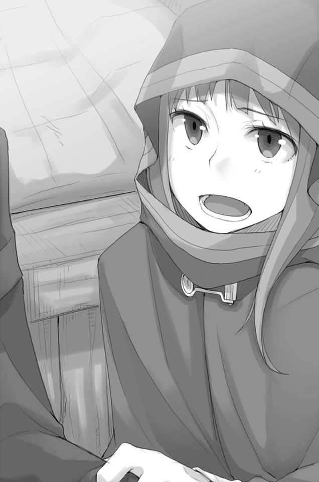 1girl ayakura_juu cape eyebrows_visible_through_hair greyscale holo hood hooded long_hair monochrome novel_illustration official_art open_mouth outdoors shirt_grab spice_and_wolf