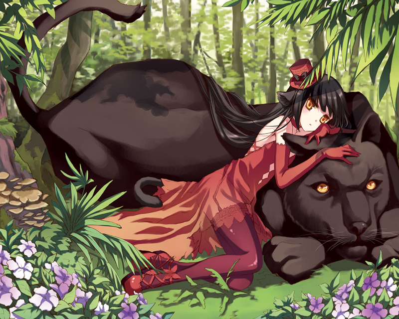 black_hair black_panther cat_ears child dress elbow_gloves flower gloves hat leopard long_hair manle mini_top_hat mushroom original red_dress tail thigh-highs thighhighs top_hat tree yellow_eyes